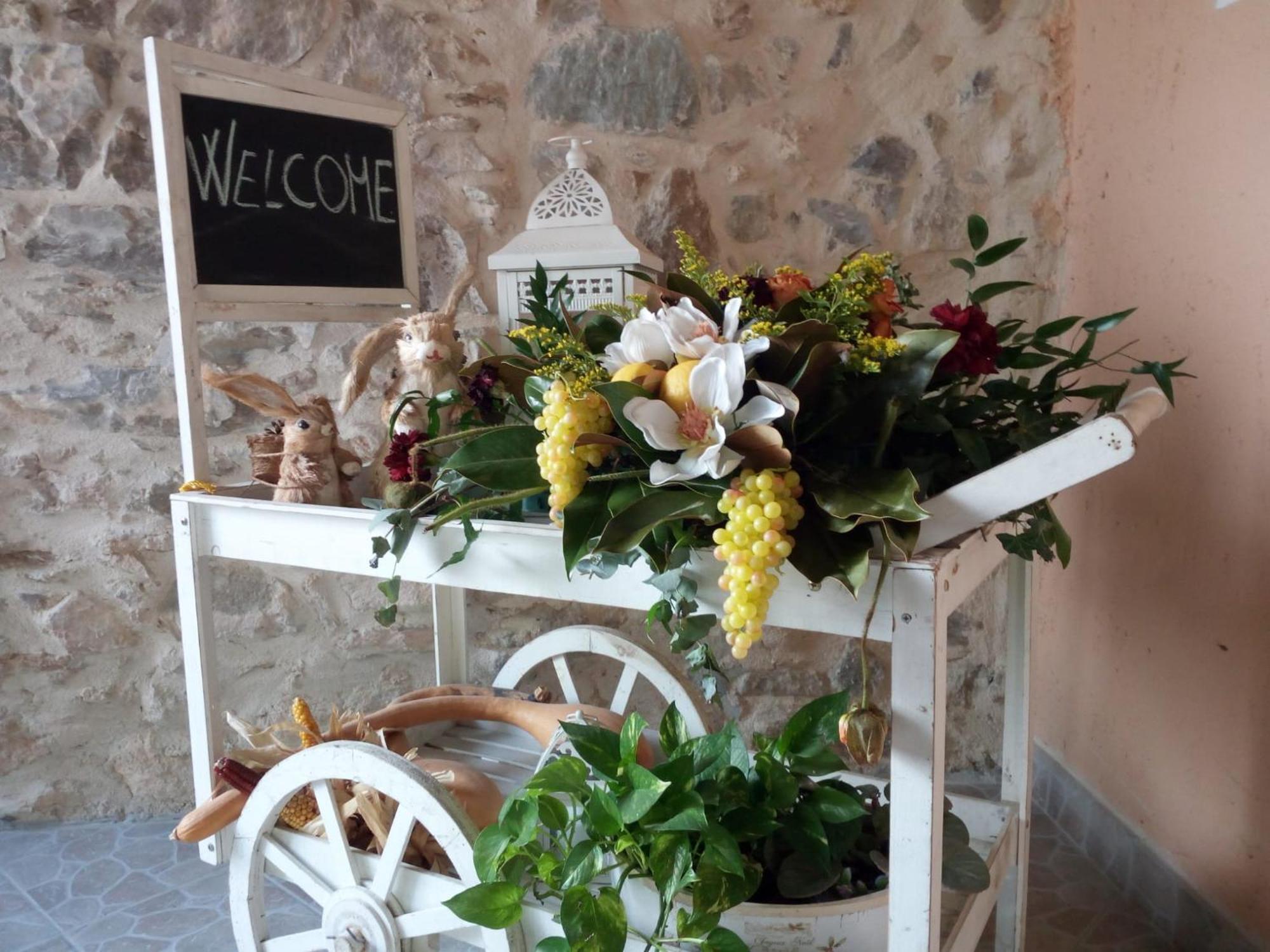 Lo Sporting Bed&Breakfast Nasino 外观 照片